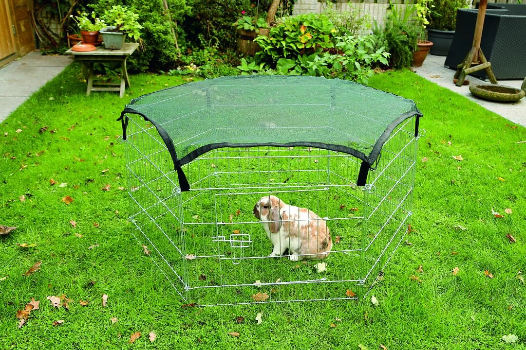 Beeztees Afdeknet Voor Konijnenren 275600 Groen 4 Beeztees Afdeknet Voor Konijnenren 275600 Groen - Afbeelding 2