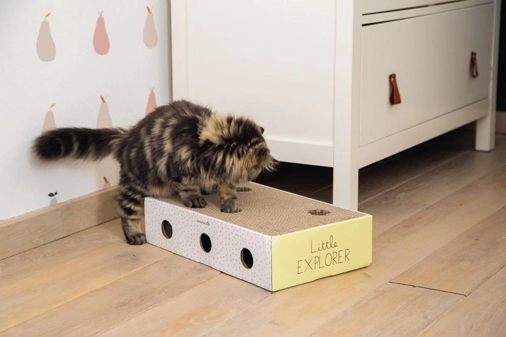 Beeztees Kitten Krabbox Riva 4 Beeztees Kitten Krabbox Riva - Afbeelding 2