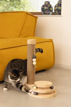 Designed By Lotte Krabpaal Inez -Huisdierbenodigdheden Bevordering 0409150 sfeer1