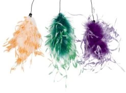 Beeztees Kattenhengel Struisvogelveren Assorti -Huisdierbenodigdheden Bevordering 0430415 det1