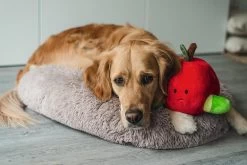 Beeztees Hondenspeelgoed Hide And Seek Appel -Huisdierbenodigdheden Bevordering 0619440 sfeer1