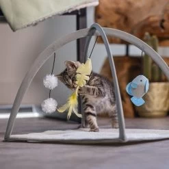 Beeztees Kittenspeelgoed Speelkleed Xabia 5 Beeztees Kittenspeelgoed Speelkleed Xabia -Huisdierbenodigdheden Bevordering 0619954 sfeer1