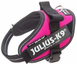 Julius K9 IDC Powerharness Dark Pink -Huisdierbenodigdheden Bevordering 16IDC DPN MM