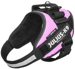 Julius K9 IDC Powerharness Pink -Huisdierbenodigdheden Bevordering 16IDC PN 3
