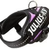Julius K9 IDC Powerharness Pink 1 Julius K9 IDC Powerharness Pink -Huisdierbenodigdheden Bevordering 16IDC PN B1