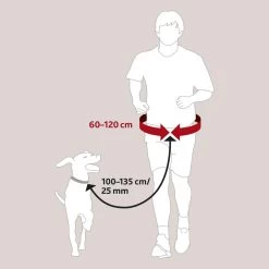 TRIXIE Hardloopriem Zwart/grafiet -Huisdierbenodigdheden Bevordering 240740 PHO GRA PRO 1275 1