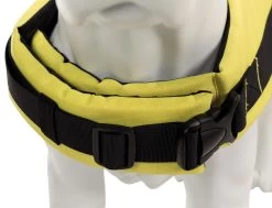 Huisdierbenodigdheden Bevordering -Huisdierbenodigdheden Bevordering 30125 30126 30127 30128 30129 2