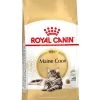 Royal Canin Kattenvoer Maine Coon Adult 4 Kg -Huisdierbenodigdheden Bevordering 3182550710657