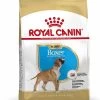 Royal Canin Hondenvoer Boxer Puppy 12 Kg -Huisdierbenodigdheden Bevordering 3182550743945