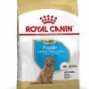 Royal Canin Hondenvoer Poodle Puppy 3 Kg 1 Royal Canin Hondenvoer Poodle Puppy 3 Kg -Huisdierbenodigdheden Bevordering 3182550765206