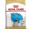 Royal Canin Hondenvoer Pug Puppy 1,5 Kg 2 Royal Canin Hondenvoer Pug Puppy 1,5 Kg -Huisdierbenodigdheden Bevordering 3182550813082