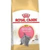 Royal Canin Kattenvoer British Shorthair Kitten 2 Kg 1 Royal Canin Kattenvoer British Shorthair Kitten 2 Kg -Huisdierbenodigdheden Bevordering 3182550816533