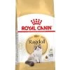 Royal Canin Kattenvoer Ragdoll Adult 2 Kg 1 Royal Canin Kattenvoer Ragdoll Adult 2 Kg -Huisdierbenodigdheden Bevordering 3182550825351