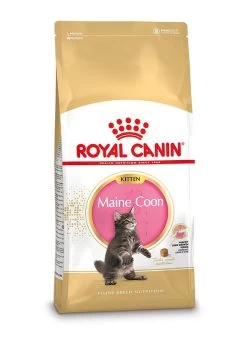Royal Canin Kattenvoer Maine Coon Kitten 10 Kg