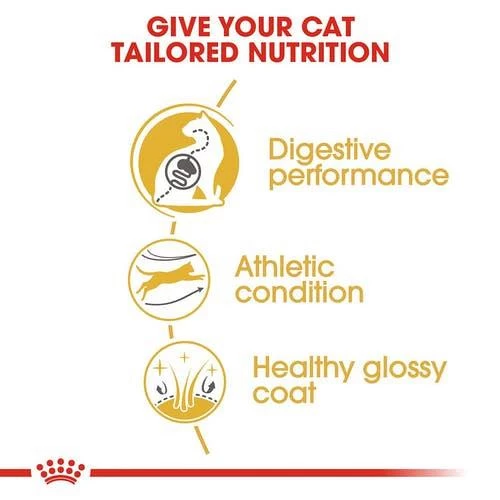 Royal Canin Kattenvoer Bengal Adult 10 Kg 4 Royal Canin Kattenvoer Bengal Adult 10 Kg - Afbeelding 2