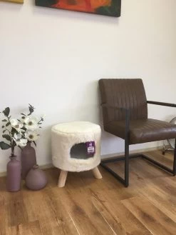 Petrebels Poef Kings & Queens Victoria 45 Royal Cream 5 Petrebels Poef Kings & Queens Victoria 45 Royal Cream -Huisdierbenodigdheden Bevordering 431034 1