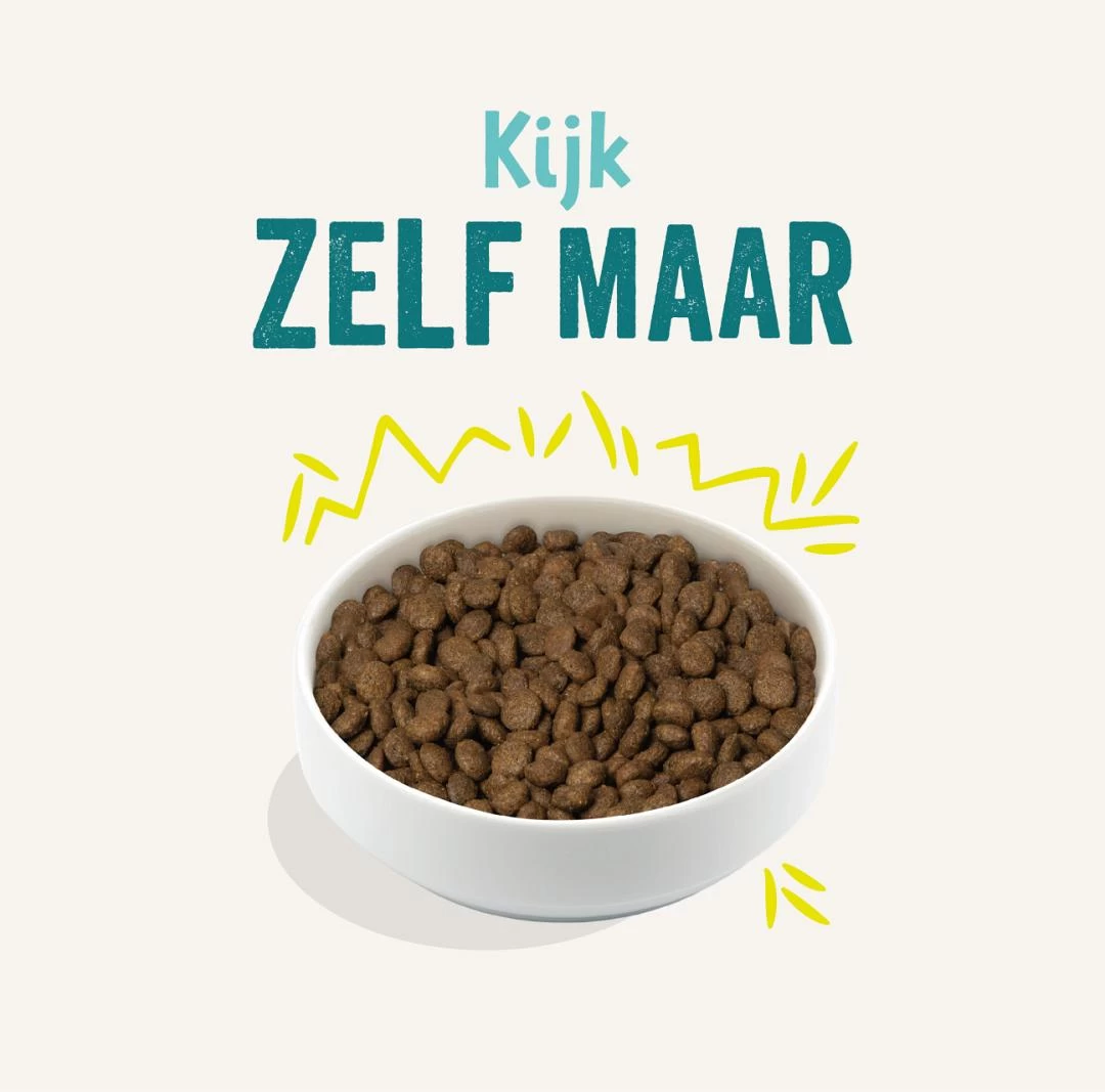 Edgard & Cooper Adult Plantaardig Wortel 2,5 Kg 4 Edgard & Cooper Adult Plantaardig Wortel 2,5 Kg - Afbeelding 2