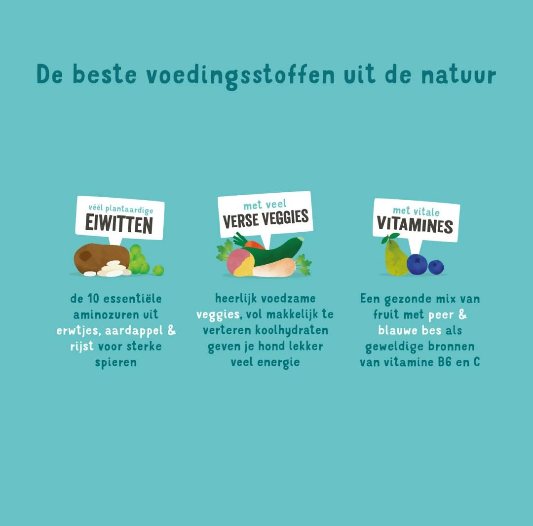 Edgard & Cooper Adult Plantaardig Wortel 2,5 Kg 5 Edgard & Cooper Adult Plantaardig Wortel 2,5 Kg - Afbeelding 3