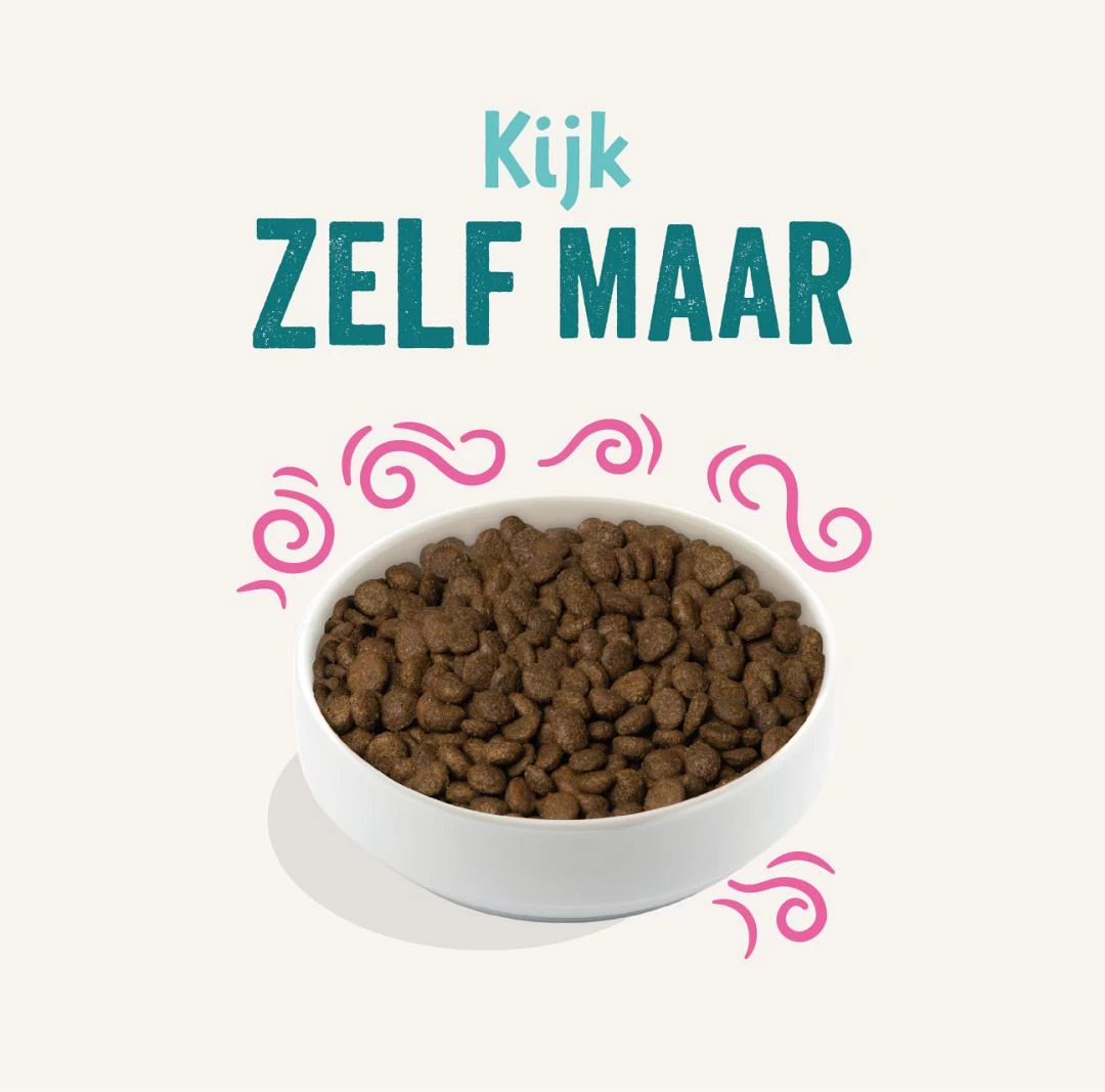 Edgard & Cooper Adult Plantaardig Rode Biet 7 Kg 5 Edgard & Cooper Adult Plantaardig Rode Biet 7 Kg - Afbeelding 3