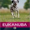 Eukanuba Hondenvoer Adult Large Salmon & Barley 12 Kg -Huisdierbenodigdheden Bevordering 8710255121062 0