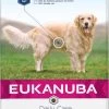 Eukanuba Daily Care Adult Overweight/Sterilised 12 Kg -Huisdierbenodigdheden Bevordering 8710255174761