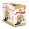 Royal Canin Kattenvoer Persian Adult 12 X 85 Gr 1 Royal Canin Kattenvoer Persian Adult 12 X 85 Gr -Huisdierbenodigdheden Bevordering 9003579001165