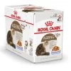 Royal Canin Kattenvoer Ageing 12+ In Jelly 12 X 85 Gr -Huisdierbenodigdheden Bevordering 9003579311813