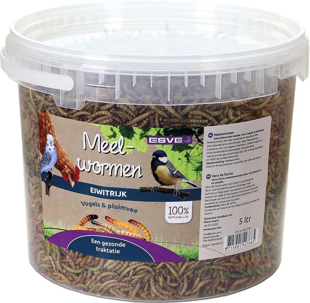 ESVE Meelwormen In Emmer 5 Ltr 3 ESVE Meelwormen In Emmer 5 Ltr
