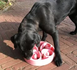 Eat Slow Live Longer Voerbak Original Pink -Huisdierbenodigdheden Bevordering EATS008 3