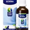 PUUR Echina Extra 50 Ml -Huisdierbenodigdheden Bevordering PUUR Echina 50ml 3