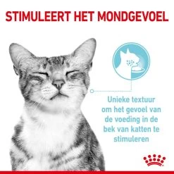 Royal Canin Kattenvoer Sensory Feel In Gravy 12 X 85 Gr 7 Royal Canin Kattenvoer Sensory Feel In Gravy 12 X 85 Gr -Huisdierbenodigdheden Bevordering RC SPT WET SensFeelMIG CV 1 nl NL