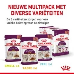 Royal Canin Kattenvoer Sensory In Gravy 12 X 85 Gr -Huisdierbenodigdheden Bevordering SensSmellCIG CV 4 nl NL