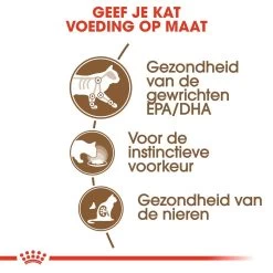 Royal Canin Kattenvoer Ageing 12+ In Jelly 12 X 85 Gr 8 Royal Canin Kattenvoer Ageing 12+ In Jelly 12 X 85 Gr -Huisdierbenodigdheden Bevordering royal canin ageing 12plus in jelly senior kat oudere kat vanaf 12 jaar hero usp