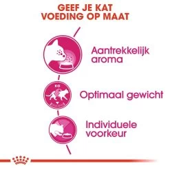 Royal Canin Kattenvoer Aroma Exigent 4 Kg -Huisdierbenodigdheden Bevordering royal canin aroma exigent volwassen kat kieskeurige katten hero usp