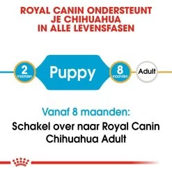 Royal Canin Hondenvoer Chihuahua Puppy 1,5 Kg 9 Royal Canin Hondenvoer Chihuahua Puppy 1,5 Kg -Huisdierbenodigdheden Bevordering royal canin chihuahua junior pup hond chihuahua hero image 9