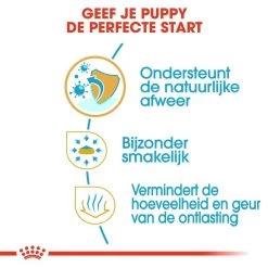 Royal Canin Hondenvoer Chihuahua Puppy 1,5 Kg 8 Royal Canin Hondenvoer Chihuahua Puppy 1,5 Kg -Huisdierbenodigdheden Bevordering royal canin chihuahua junior pup hond chihuahua hero usp