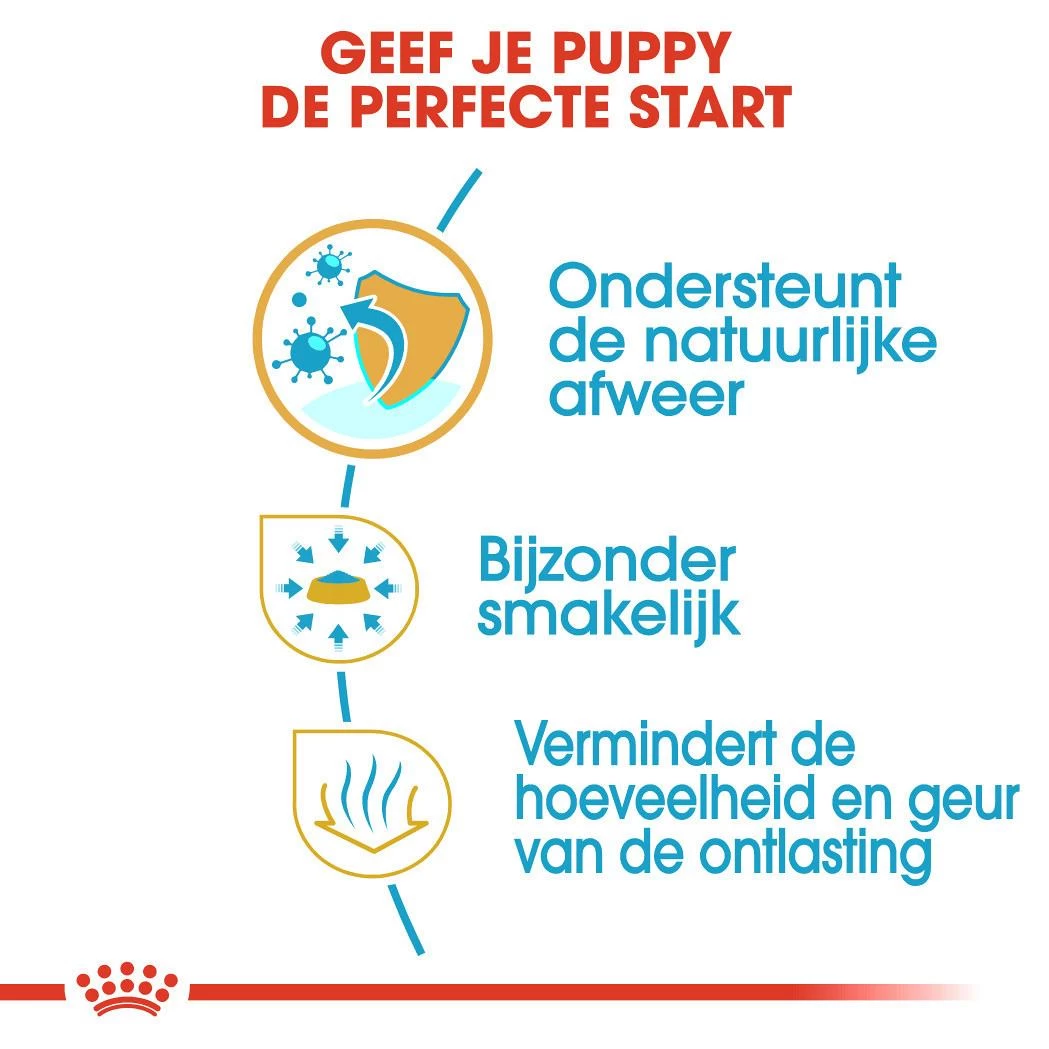 Royal Canin Hondenvoer Chihuahua Puppy 1,5 Kg 5 Royal Canin Hondenvoer Chihuahua Puppy 1,5 Kg - Afbeelding 3