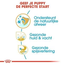Royal Canin Hondenvoer Golden Retriever Puppy 3 Kg -Huisdierbenodigdheden Bevordering royal canin golden retriever junior pup hond golden retriever hero usp