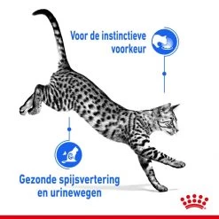 Royal Canin Kattenvoer Indoor In Gravy 12 X 85 Gr 9 Royal Canin Kattenvoer Indoor In Gravy 12 X 85 Gr -Huisdierbenodigdheden Bevordering royal canin indoor sterilised gravy volwassen kat binnenkatten hero usp