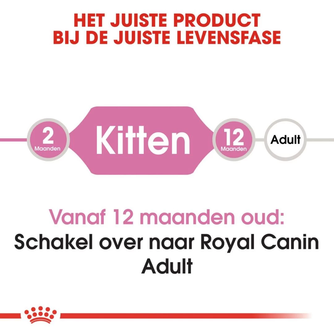 Royal Canin Kattenvoer Kitten 10 Kg 6 Royal Canin Kattenvoer Kitten 10 Kg - Afbeelding 4