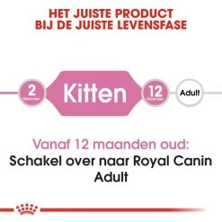 Royal Canin Kattenvoer Kitten 4 Kg 9 Royal Canin Kattenvoer Kitten 4 Kg -Huisdierbenodigdheden Bevordering royal canin kitten kitten kat groeifase hero image 8
