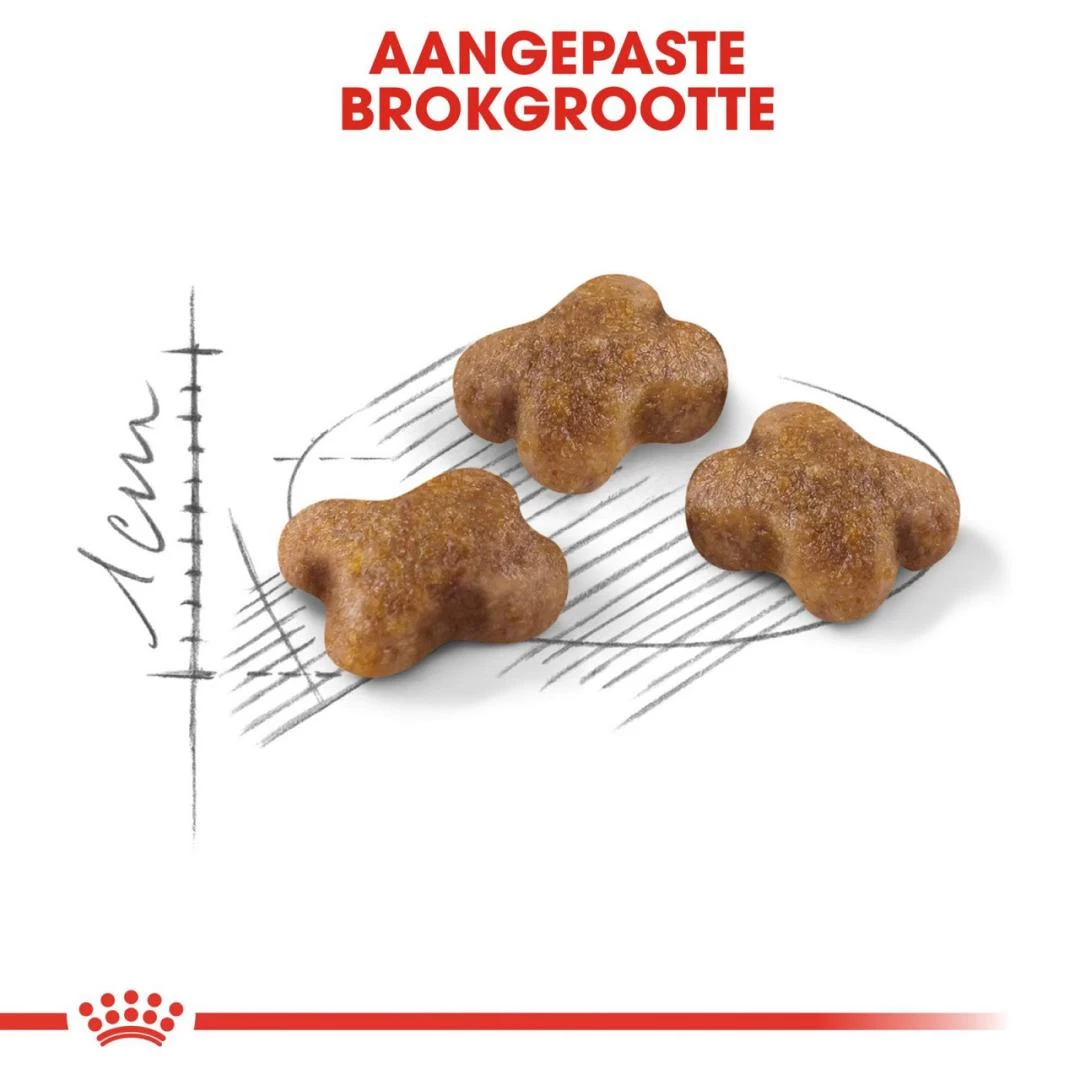 Royal Canin Kattenvoer Kitten 10 Kg 4 Royal Canin Kattenvoer Kitten 10 Kg - Afbeelding 2