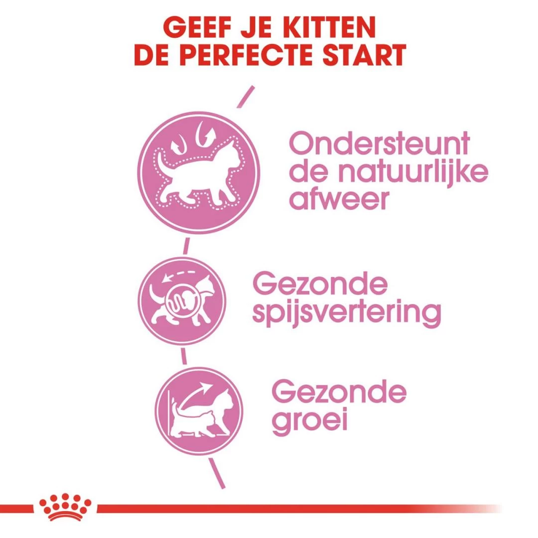 Royal Canin Kattenvoer Kitten 10 Kg 5 Royal Canin Kattenvoer Kitten 10 Kg - Afbeelding 3