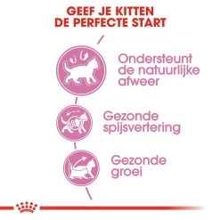 Royal Canin Kattenvoer Kitten 4 Kg 8 Royal Canin Kattenvoer Kitten 4 Kg -Huisdierbenodigdheden Bevordering royal canin kitten kitten kat groeifase hero usp
