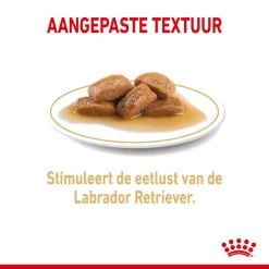 Royal Canin Hondenvoer Labrador Adult 10 X 140 Gr 8 Royal Canin Hondenvoer Labrador Adult 10 X 140 Gr -Huisdierbenodigdheden Bevordering royal canin labrador retriever adult natvoer volwassen hond labrador vanaf 15 maanden hero kibble