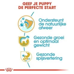 Royal Canin Hondenvoer Labrador Retriever Puppy 3 Kg -Huisdierbenodigdheden Bevordering royal canin labrador retriever junior pup hond labrador retriever hero usp