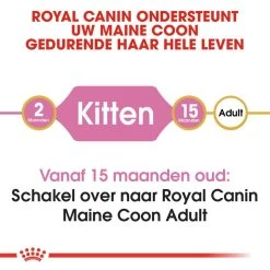 Royal Canin Kattenvoer Maine Coon Kitten 10 Kg -Huisdierbenodigdheden Bevordering royal canin maine coon kitten kitten kat maine coon hero image 8