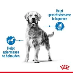 Royal Canin Hondenvoer Light Weight Care Maxi 12 Kg -Huisdierbenodigdheden Bevordering royal canin maxi light weight care volwassen hond grote hondenrassen hero image 8