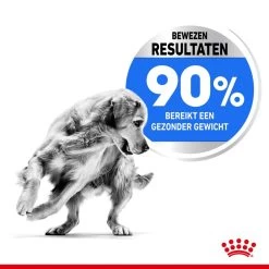 Royal Canin Hondenvoer Light Weight Care Maxi 12 Kg -Huisdierbenodigdheden Bevordering royal canin maxi light weight care volwassen hond grote hondenrassen hero usp