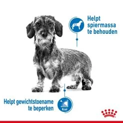 Royal Canin Hondenvoer Light Weight Care Mini 3 Kg -Huisdierbenodigdheden Bevordering royal canin mini light weight care volwassen hond gezond gewicht kleine hondenrassen hero image 8
